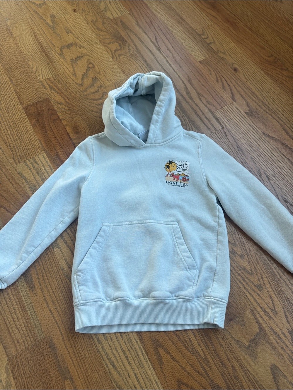 Kids Light Blue Hooded Sweatshirt with Beach Graphic